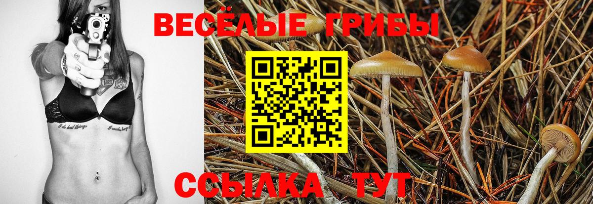 Касимов  Псилоцибиновые грибы ЛСД  Вход с VPN 